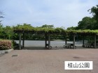 公園 120m 桂山公園