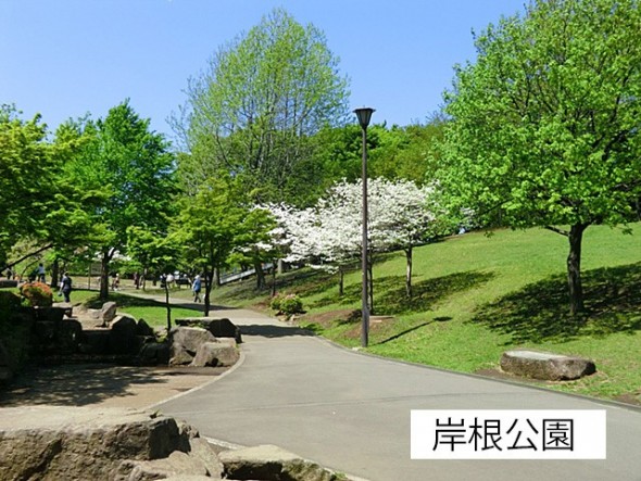 公園 220m 岸根公園