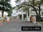 小学校 500m 初音ヶ丘小学校