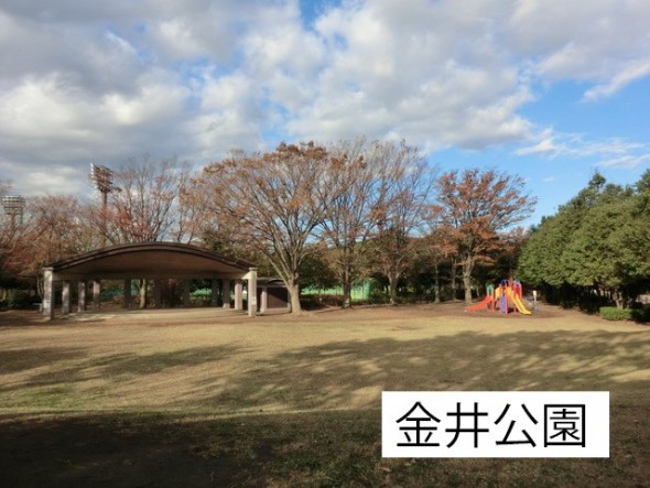 公園 450m 金井公園