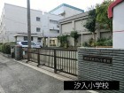 小学校 350m 汐入小学校