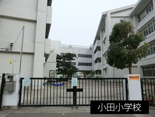 小学校 350m 小田小学校