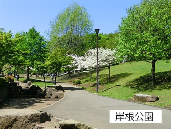 公園 230m 岸根公園