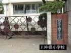 小学校 77m 川中島小学校