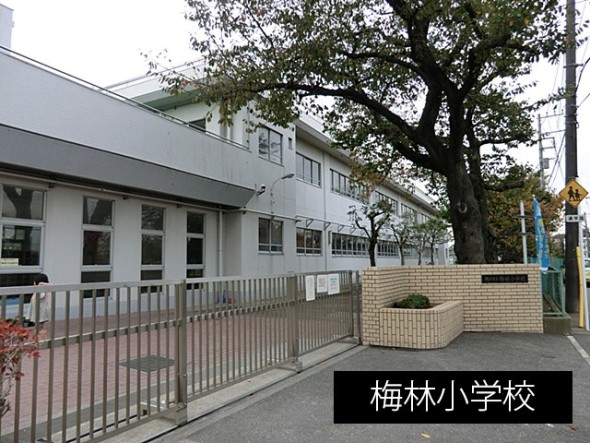 小学校 300m 梅林小学校