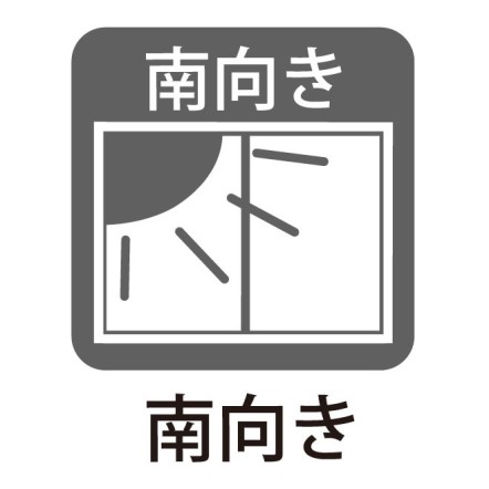 陽当たり良好で明るいお部屋