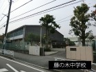 中学校 1200m 藤の木中学校