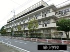 小学校 450m 緑小学校