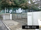 小学校 550m 神橋小学校