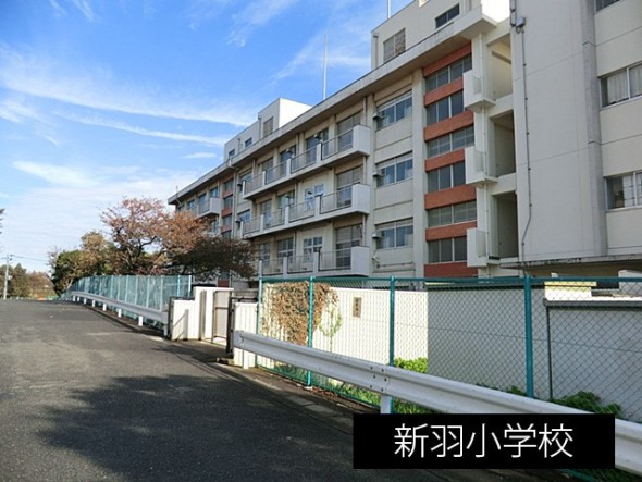 小学校 900m 新羽小学校