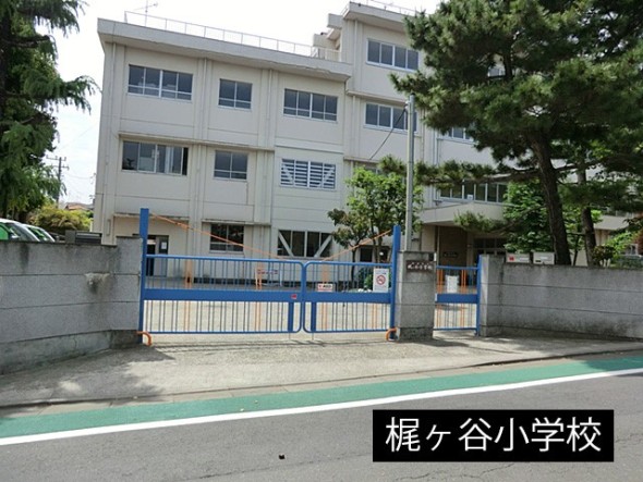 小学校 500m 梶ヶ谷小学校