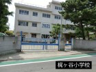 小学校 500m 梶ヶ谷小学校