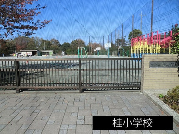 小学校 350m 桂小学校