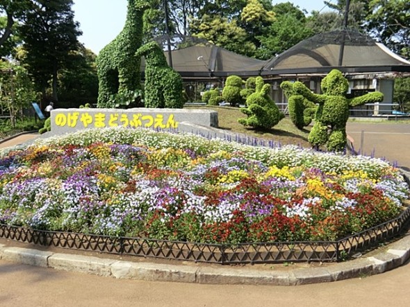 その他環境写真 150m 野毛山動物園