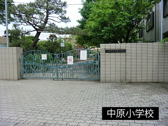 小学校 350m 中原小学校