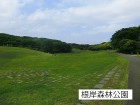 公園 400m 根岸森林公園