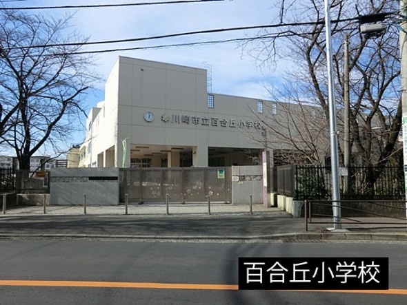 小学校 300m 百合丘小学校