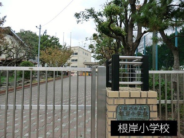 小学校 300m 根岸小学校