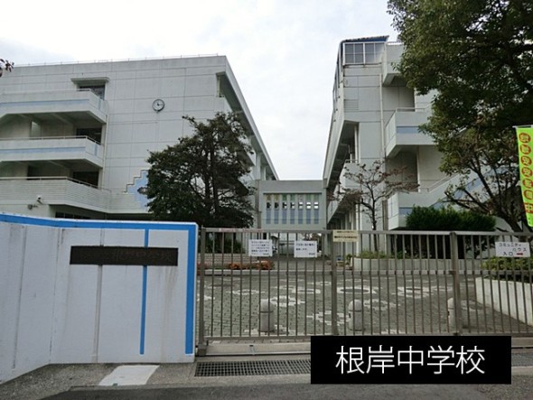 中学校 750m 根岸中学校