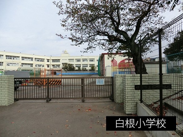 小学校 550m 白根小学校