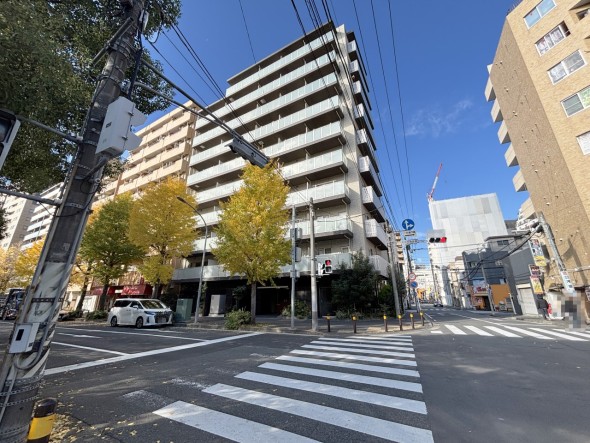 爽やかな青空の下に贅沢なほどに降り注ぐ陽光、豊かな居住性と、クオリティが見事に調和した住空間は、住まうことの喜びを感じさせてくれ