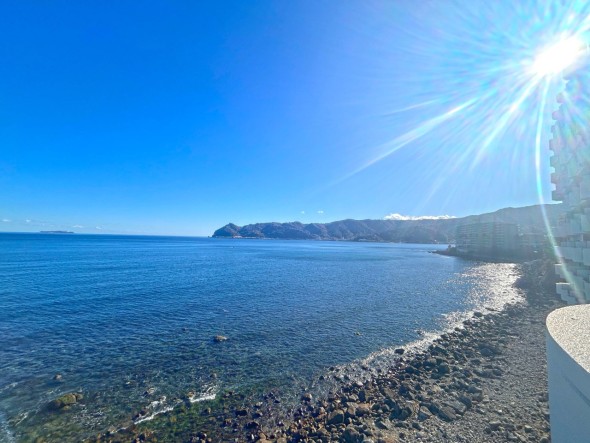 相模湾の水平線が一望できます。