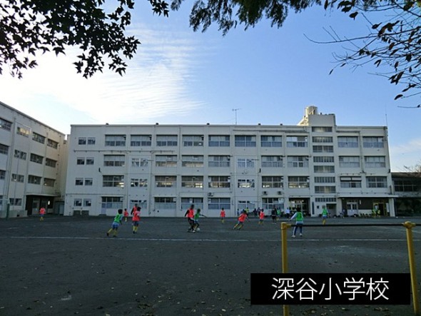 小学校 435m 深谷小学校