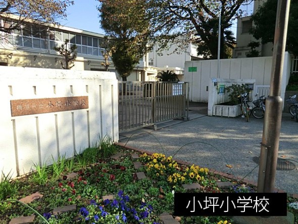 小学校 600m 小坪小学校