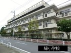 小学校 260m 緑小学校