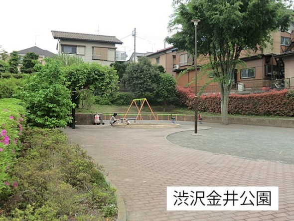 公園 350m 渋沢金井公園
