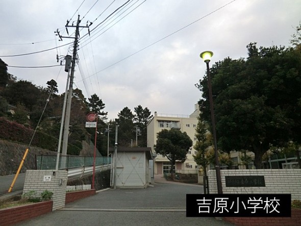 小学校 800m 吉原小学校