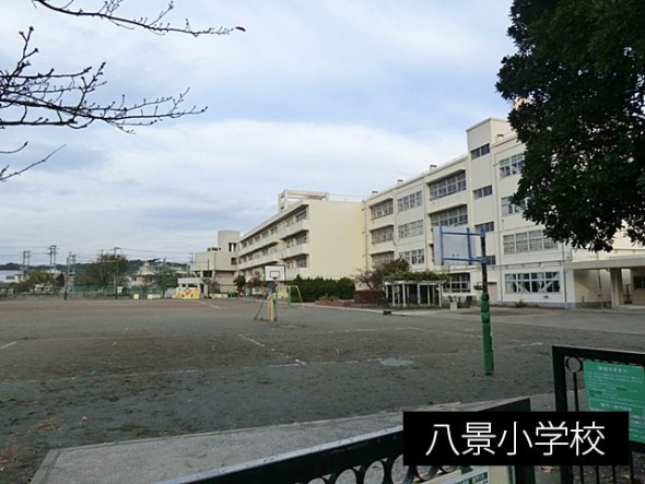 小学校 180m 八景小学校