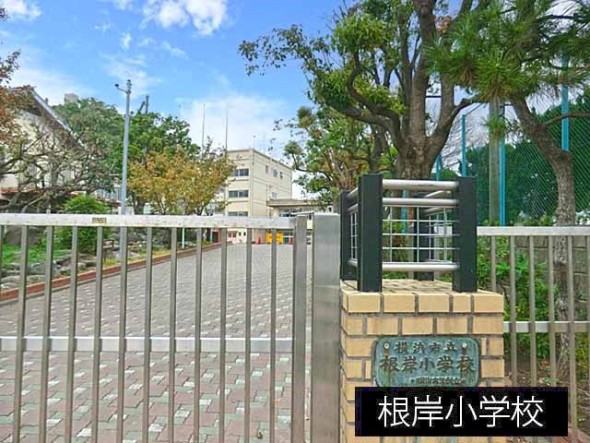 小学校 800m 根岸小学校
