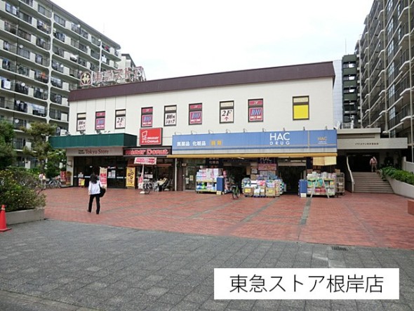 スーパー 600m 東急ストア根岸店