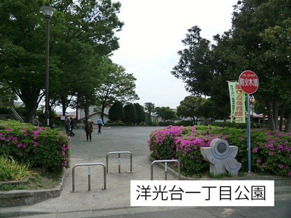 公園 19m 洋光台一丁目公園