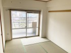 小さなお子様から年配の方まで喜ばれるそれが畳ライク