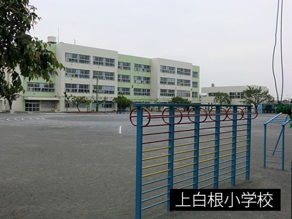 小学校 290m 上白根小学校