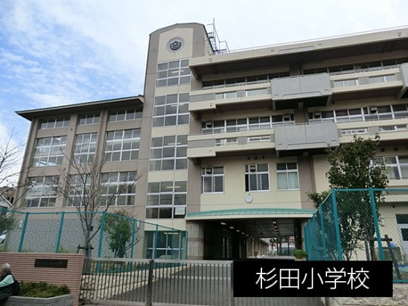 小学校 1500m 杉田小学校