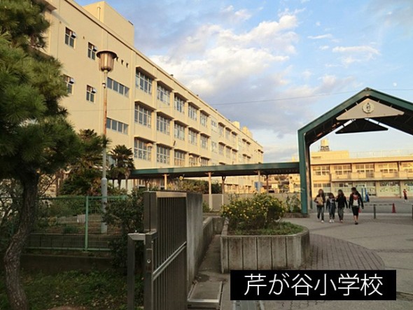 小学校 350m 芹が谷小学校