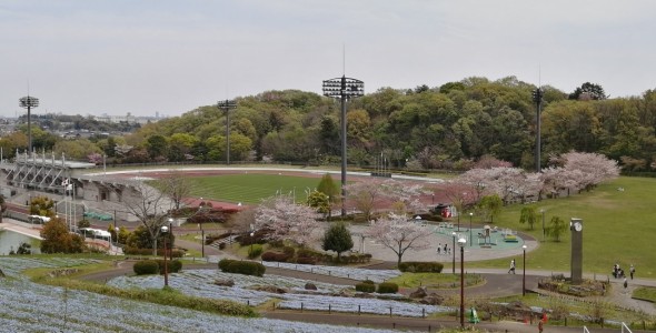 その他環境写真 2700m 荻野運動公園