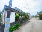 現地写真