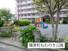 公園 450m ねむのき公園
