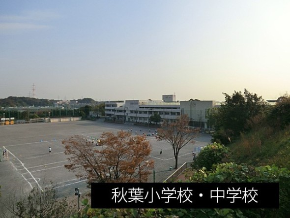 小学校 600m 秋葉小学校