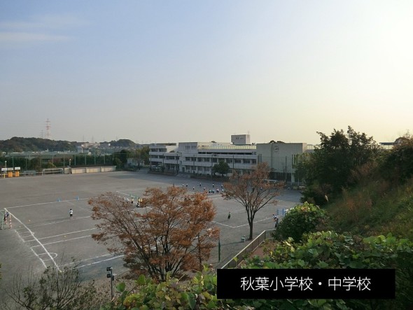 中学校 600m 秋葉中学校