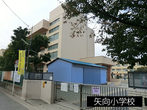 小学校 900m 矢向小学校
