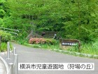 公園 900m 横浜市児童遊園地（狩場の丘）()