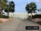 小学校 800m 川井小学校