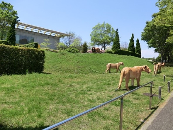 その他環境写真 1300m 横浜動物の森公園（ズーラシア）()