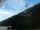バルコニーからの眺望