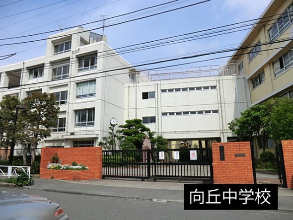 中学校 300m 向丘中学校